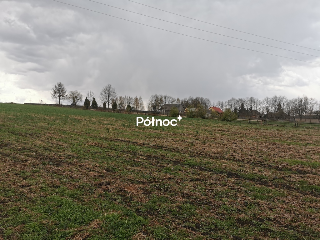 Działka rolna 6700 m², Grabowiec - zdjęcie 8