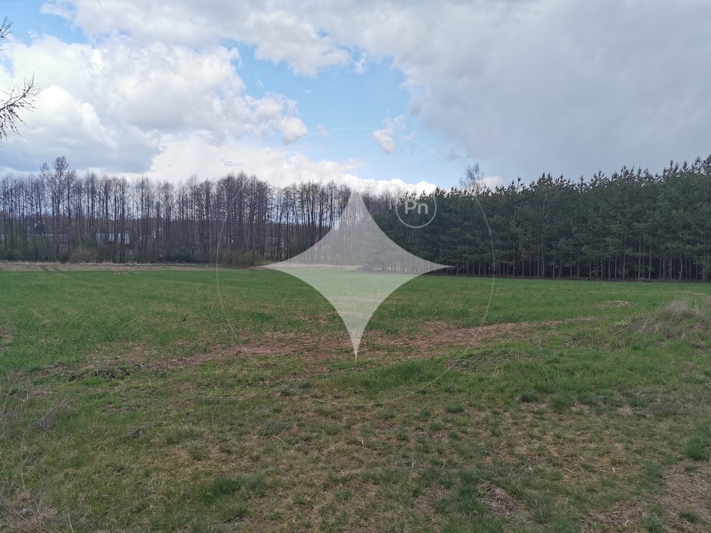 Działka rolna 6700&nbsp;m², Grabowiec - zdjęcie 13