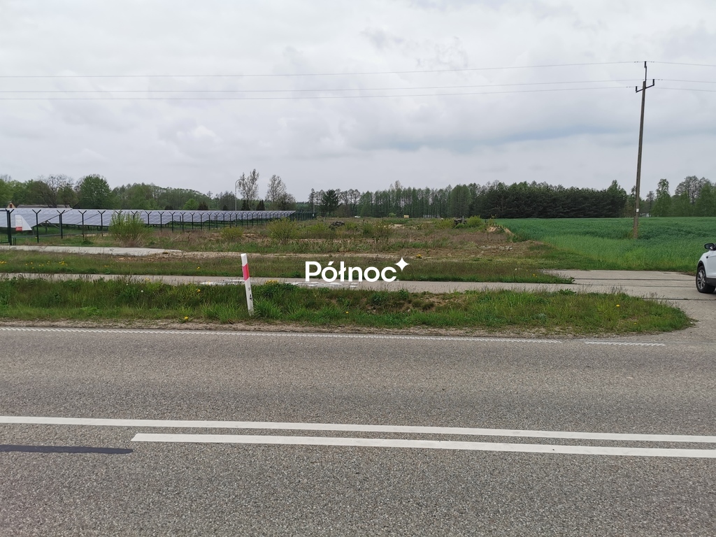 Działka rolna 6700 m², Grabowiec - zdjęcie 3