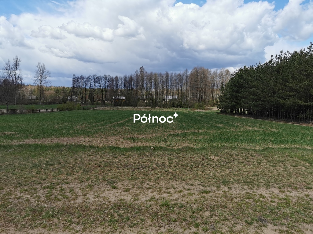 Działka rolna 6700 m², Grabowiec - zdjęcie 7