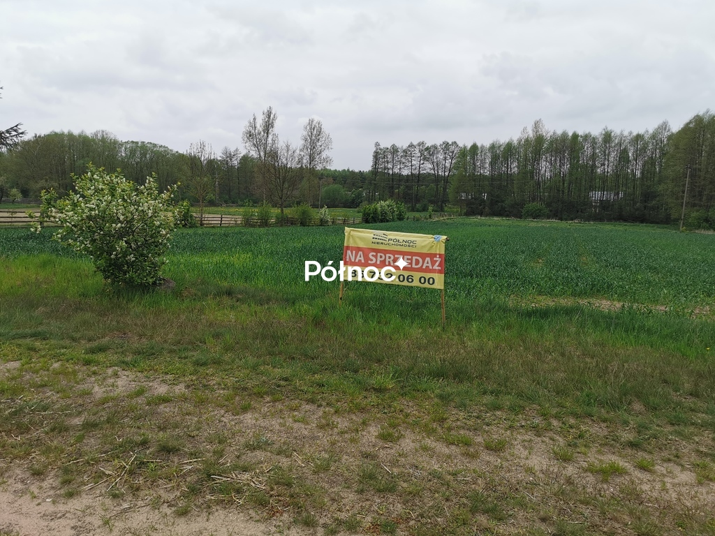 Działka rolna 6700 m², Grabowiec - zdjęcie 1