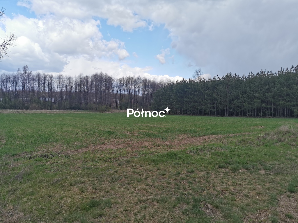 Działka rolna 6700 m², Grabowiec - zdjęcie 13
