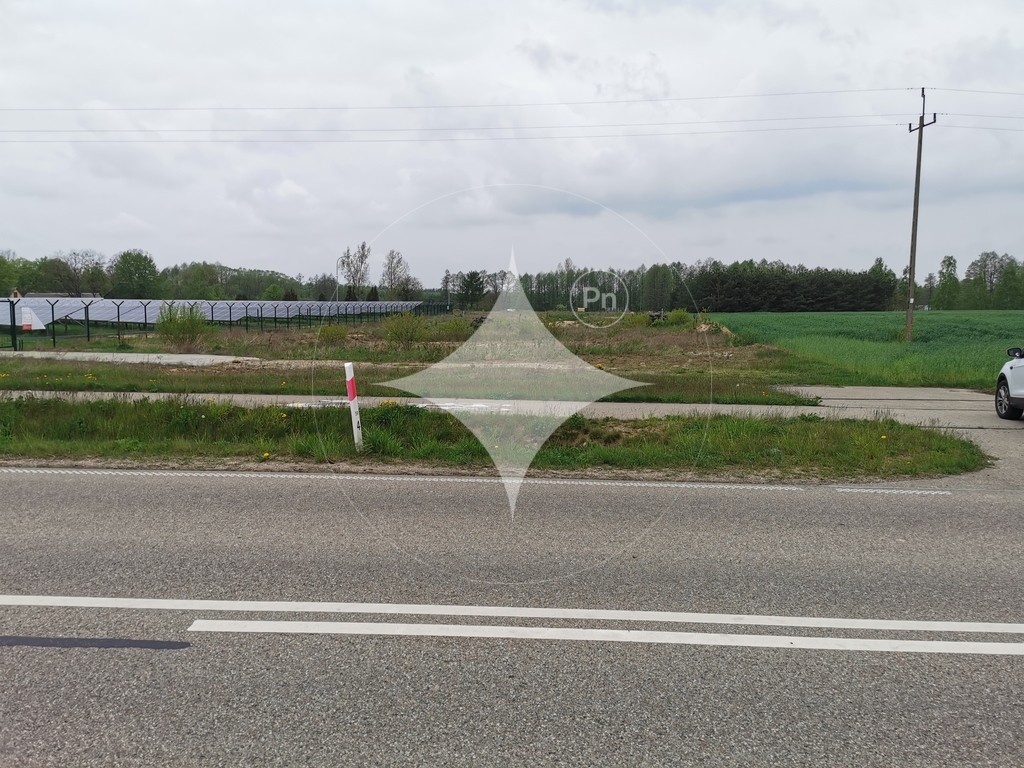 Działka rolna 6700&nbsp;m², Grabowiec - zdjęcie 3