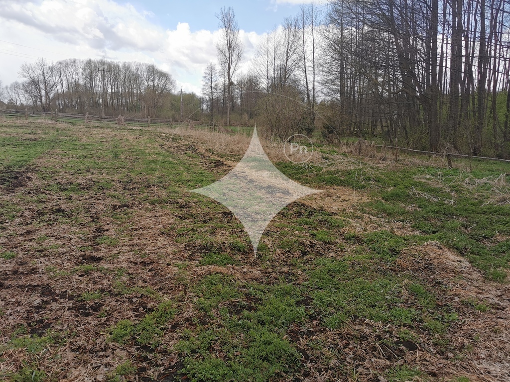 Działka rolna 6700&nbsp;m², Grabowiec - zdjęcie 6