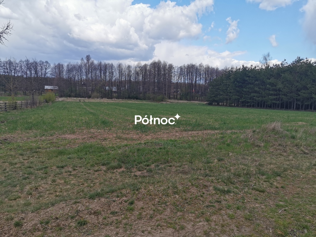 Działka rolna 6700 m², Grabowiec - zdjęcie 16