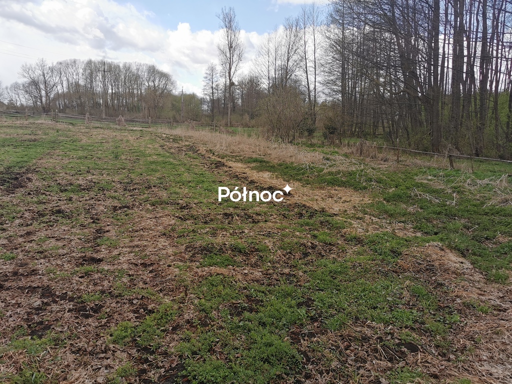 Działka rolna 6700 m², Grabowiec - zdjęcie 6