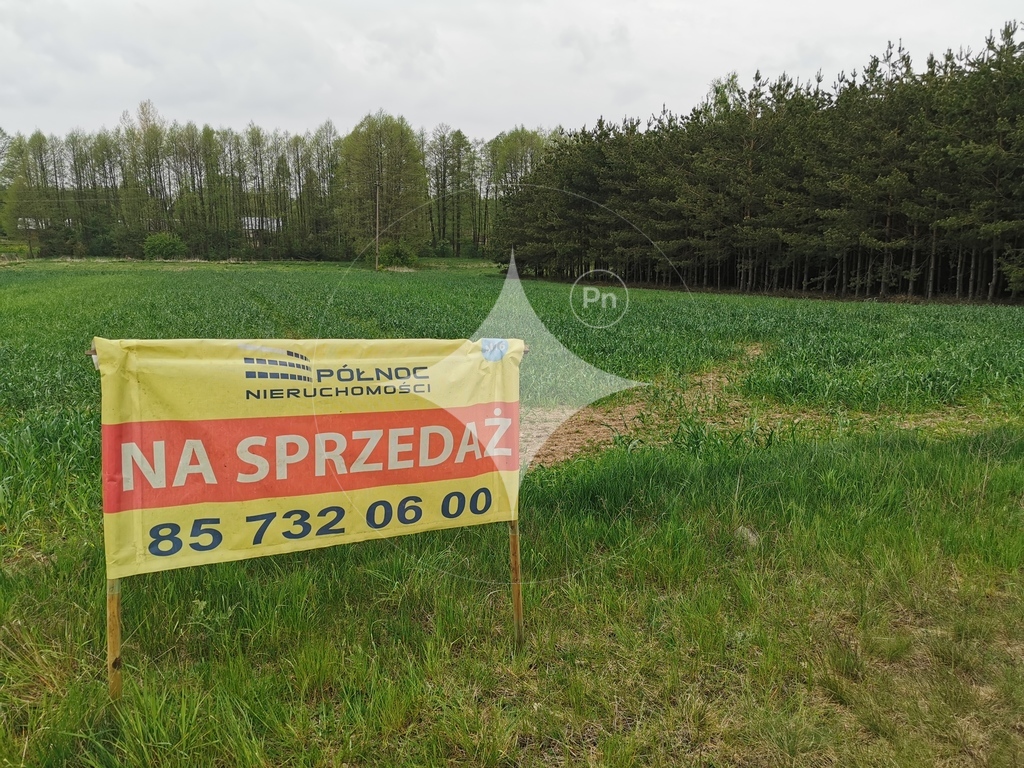 Działka rolna 6700&nbsp;m², Grabowiec - zdjęcie 2