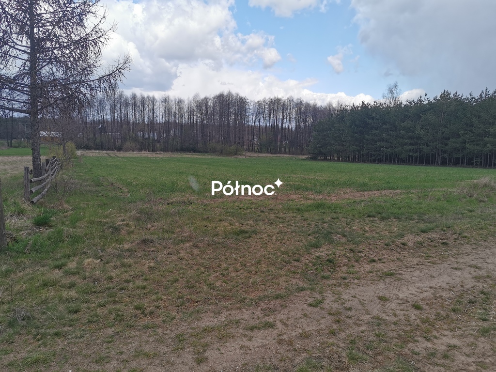 Działka rolna 6700 m², Grabowiec - zdjęcie 14