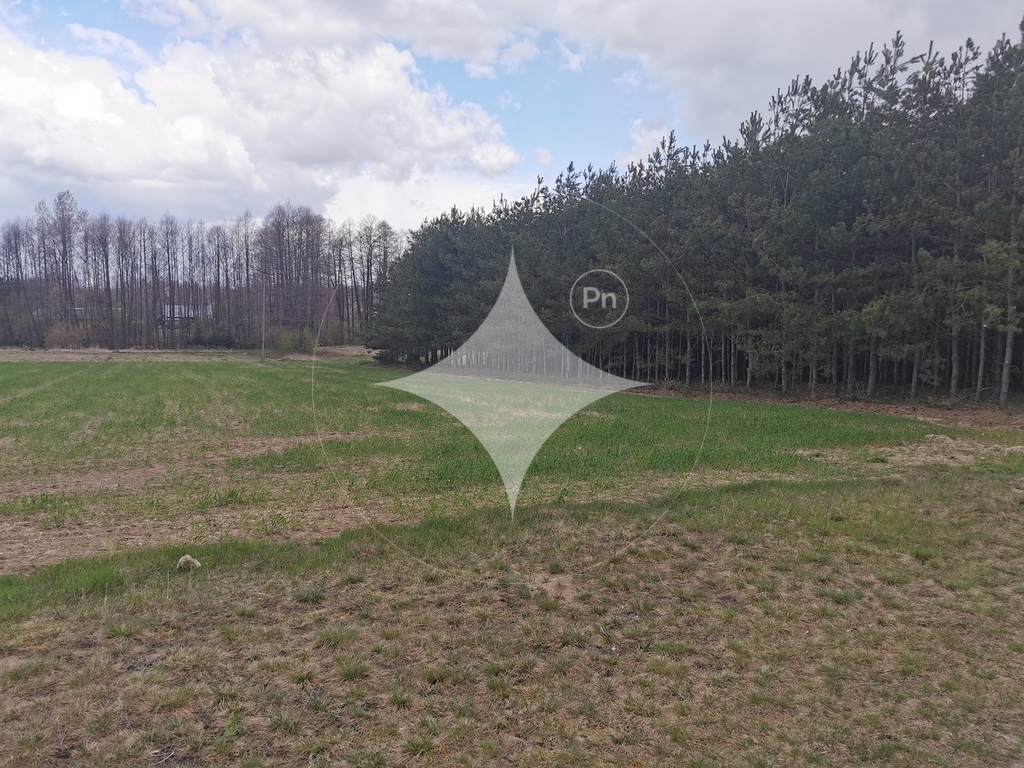 Działka rolna 6700&nbsp;m², Grabowiec - zdjęcie 10