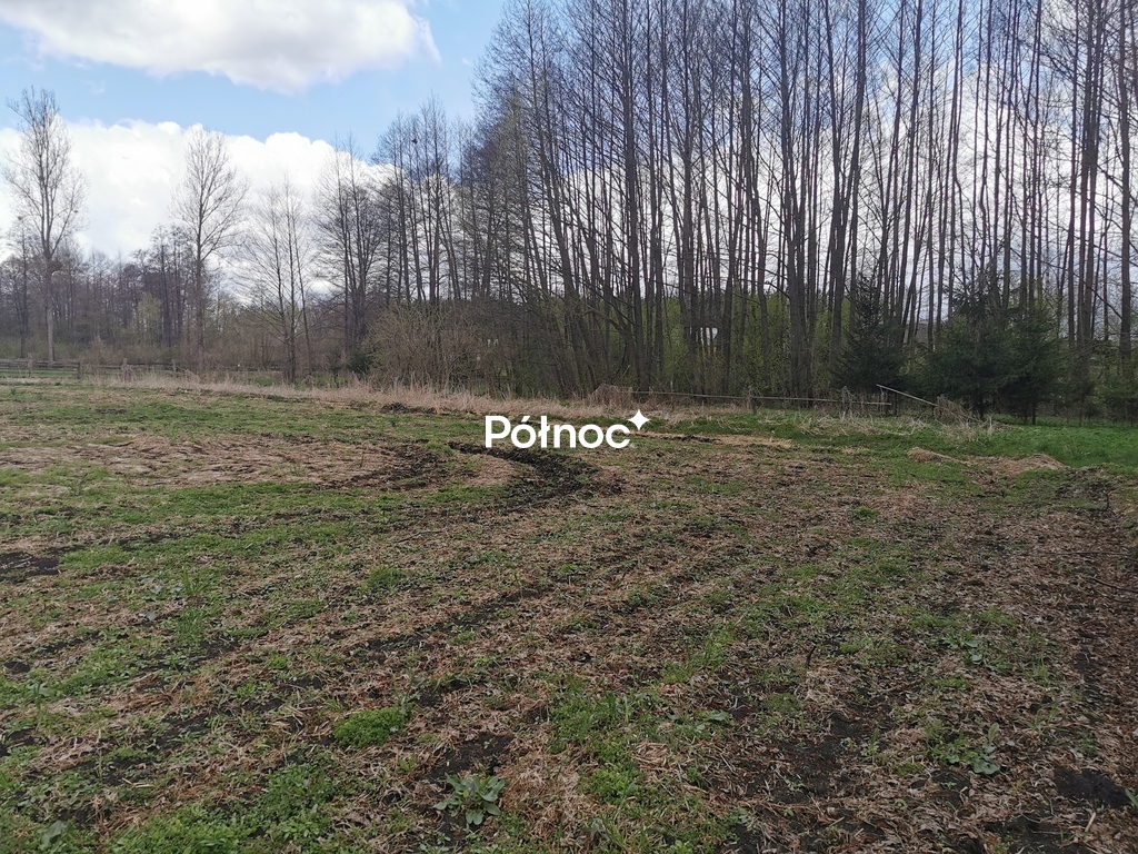 Działka rolna 6700 m², Grabowiec - zdjęcie 9