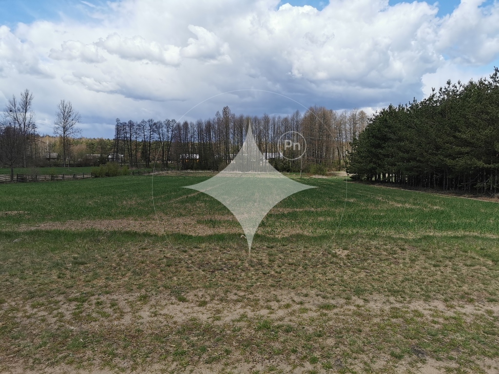 Działka rolna 6700&nbsp;m², Grabowiec - zdjęcie 7