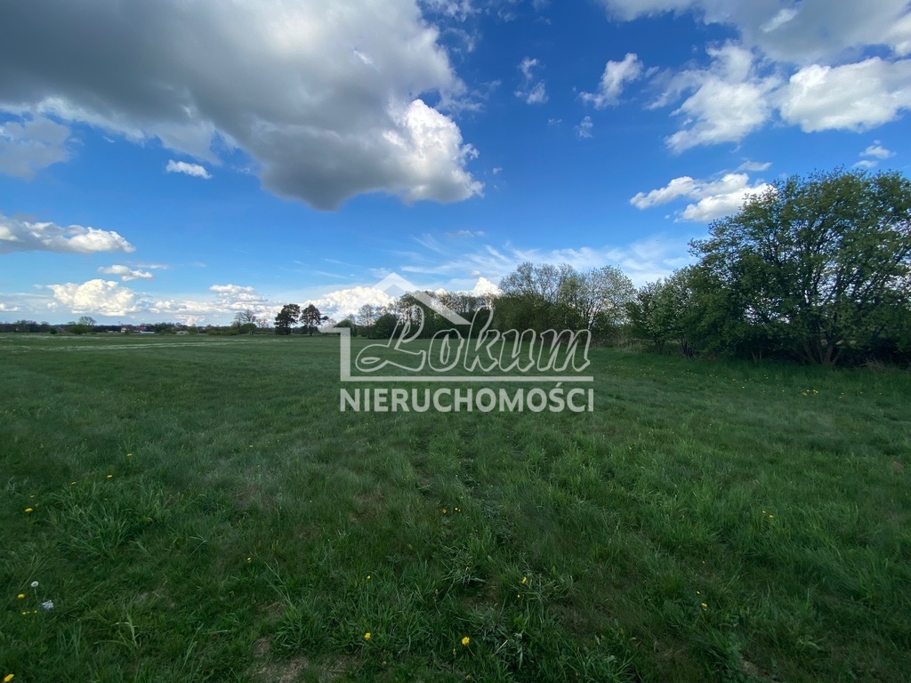 Działka budowlana 1576 m², Żarowo - zdjęcie 3
