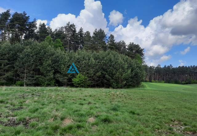 Działka w Rotembarku - zdjęcie 13