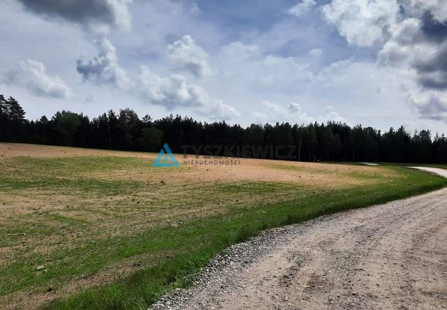 Działka w Rotembarku - zdjęcie 16