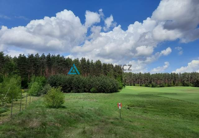 Działka w Rotembarku - zdjęcie 11