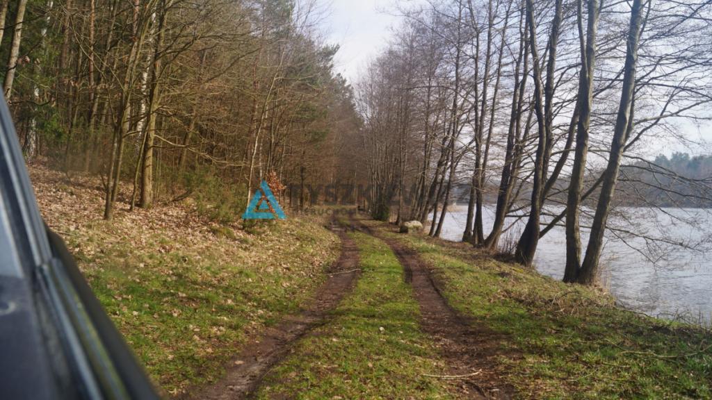 Działka leśna blisko jeziora Kamieniczno - zdjęcie 5