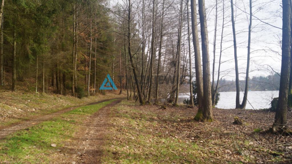 Działka leśna blisko jeziora Kamieniczno - zdjęcie 4