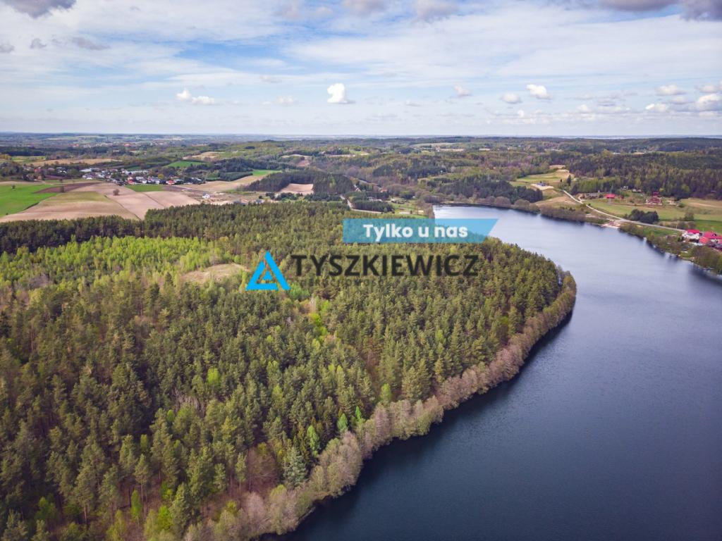 Działka leśna blisko jeziora Kamieniczno - zdjęcie 1