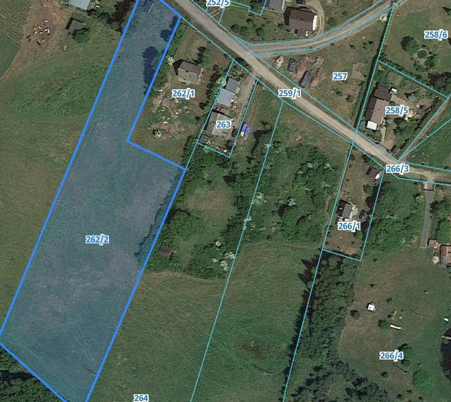 Działka rolna 8300&nbsp;m², Ełganowo, Leśna - zdjęcie 1