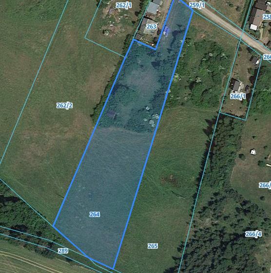 Działka rolna 8300&nbsp;m², Ełganowo, Leśna - zdjęcie 3