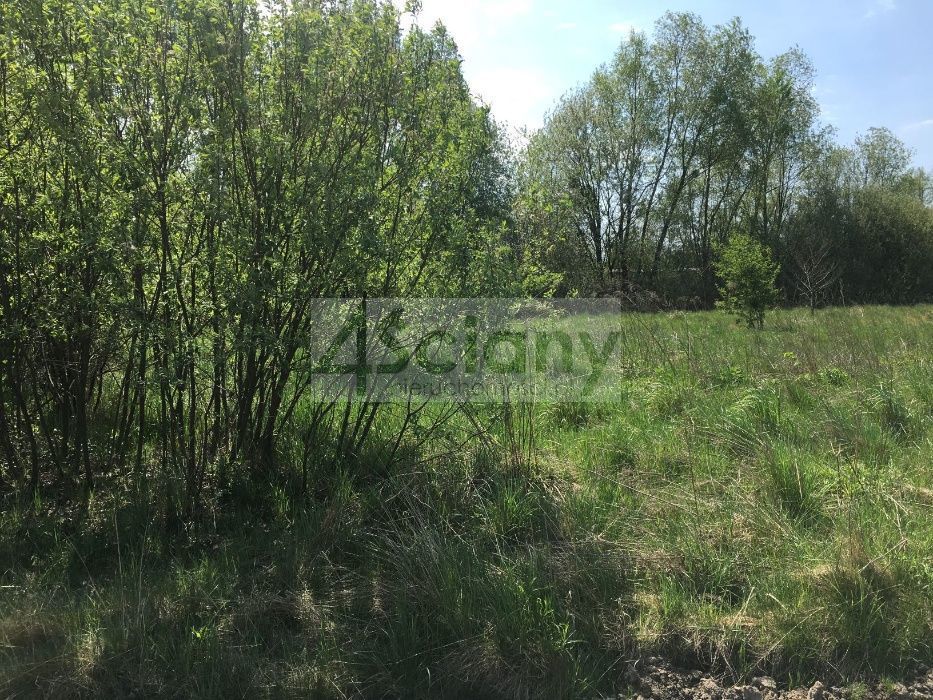Działka rolna 1,48&nbsp;ha, Kozerki - zdjęcie 2