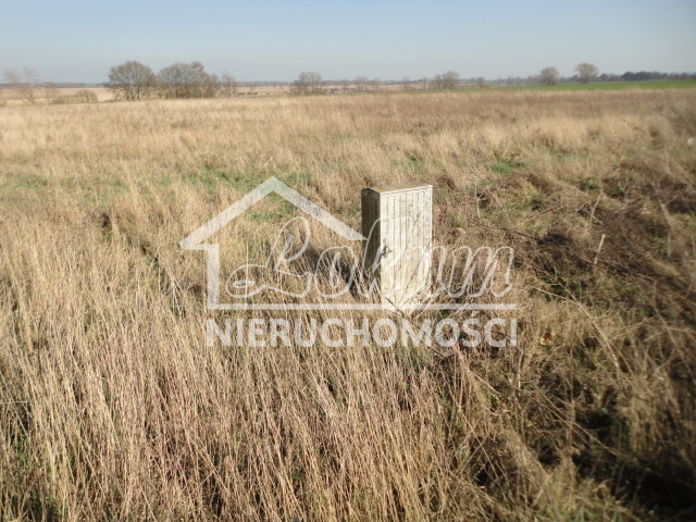 Działka gospodarstwo 1,00&nbsp;ha, Turze - zdjęcie 3