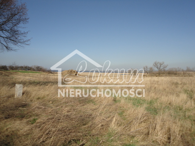 Działka gospodarstwo 1,00&nbsp;ha, Turze - zdjęcie 1