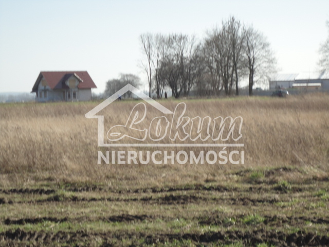 Działka gospodarstwo 1,00&nbsp;ha, Turze - zdjęcie 4