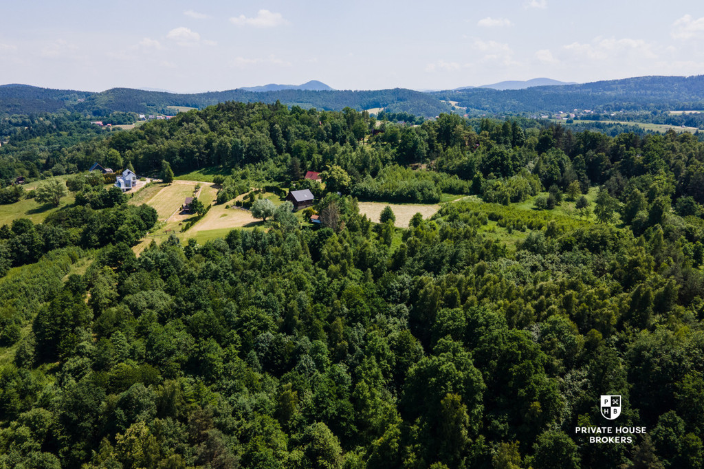 Działka budowlana 3993 m², Brzezowa - zdjęcie 4