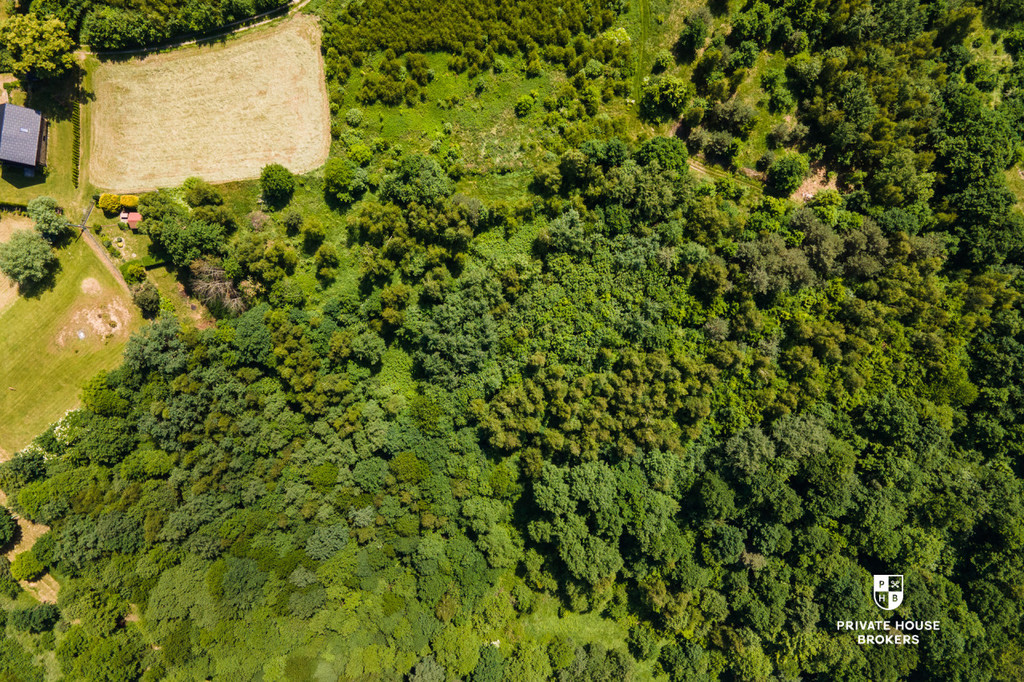 Działka budowlana 3993 m², Brzezowa - zdjęcie 2