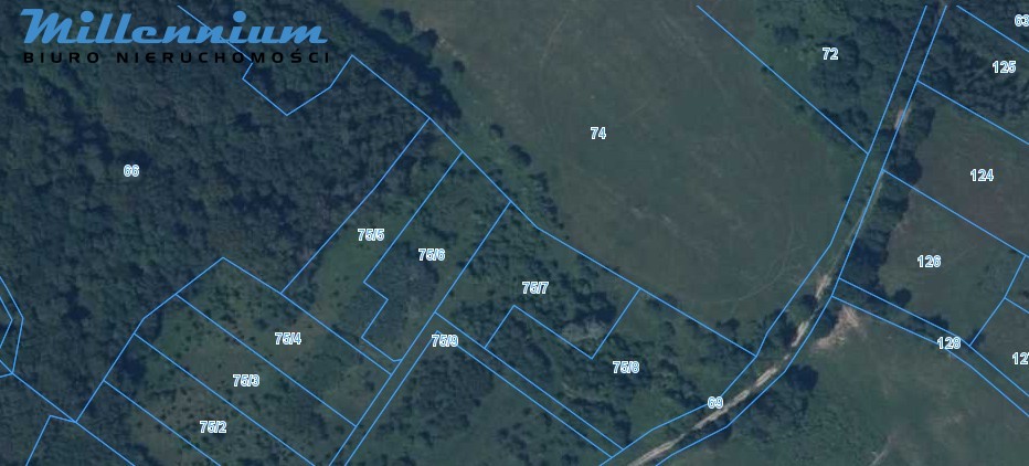 Działki w otulinie lasów Przybyłowa już w ofercie - zdjęcie 10