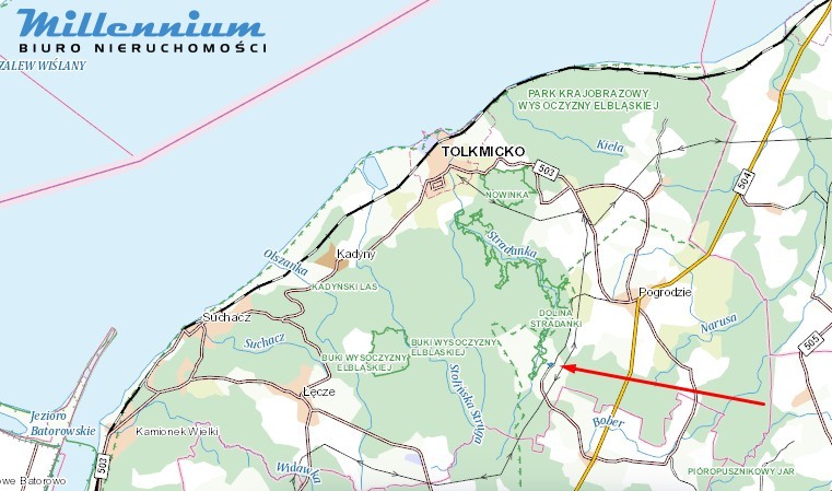 Działki w otulinie lasów Przybyłowa już w ofercie - zdjęcie 4