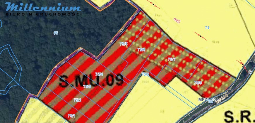 Działki w otulinie lasów Przybyłowa już w ofercie - zdjęcie 9