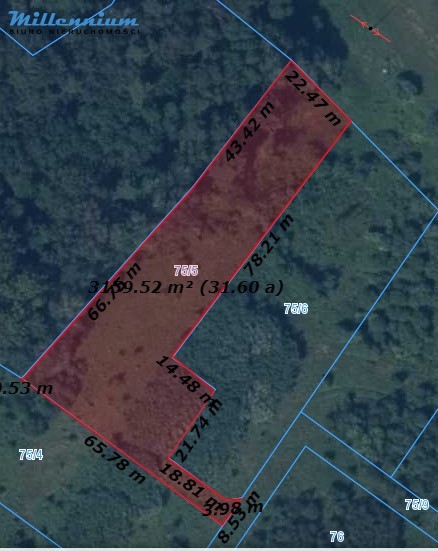 Działki w otulinie lasów Przybyłowa już w ofercie - zdjęcie 2