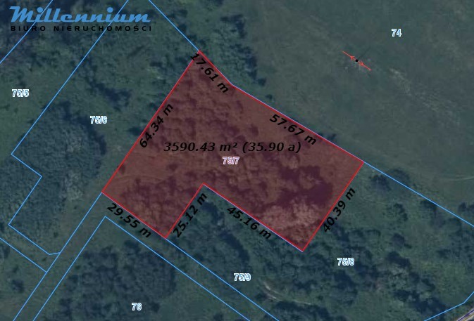 Działki w otulinie lasów Przybyłowa już w ofercie - zdjęcie 7