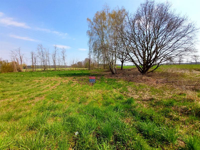 Działka budowlana 2124&nbsp;m², Zgliniec, Zgliniec - zdjęcie 6