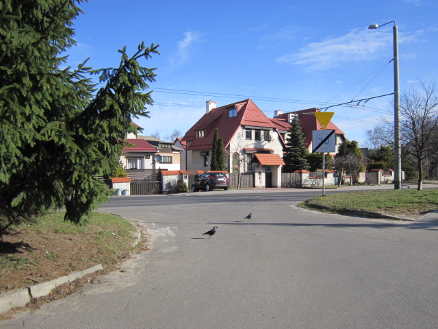 Dom 300&nbsp;m², Gdynia, Miętowa - zdjęcie 20