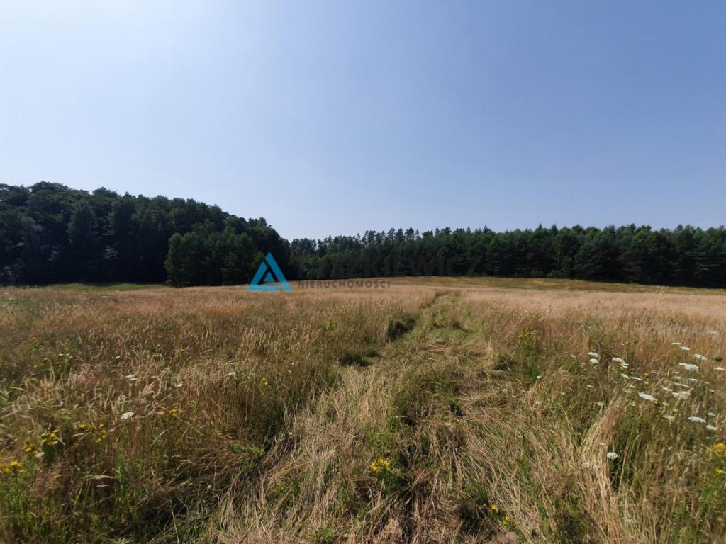 Działka budowlana w Krępkowicach. Przy lesie - zdjęcie 9