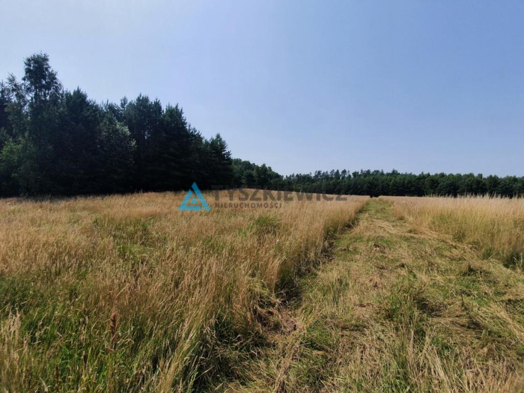 Działka budowlana w Krępkowicach. Przy lesie - zdjęcie 2