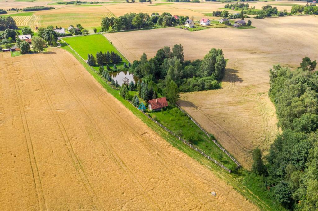 Uroczy domek ze stawem na działce 2859m2 ! - zdjęcie 2
