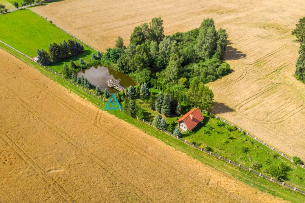 Uroczy domek ze stawem na działce 2859m2 ! - zdjęcie 21