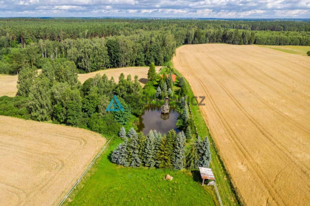Uroczy domek ze stawem na działce 2859m2 ! - zdjęcie 18