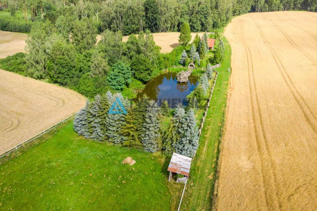 Uroczy domek ze stawem na działce 2859m2 ! - zdjęcie 17