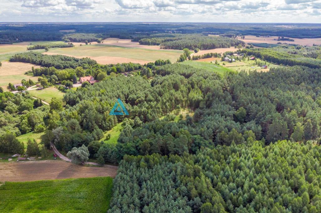 Duża działka rolna w miejscowości Lipy! - zdjęcie 4