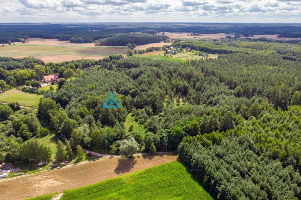 Duża działka rolna w miejscowości Lipy! - zdjęcie 3