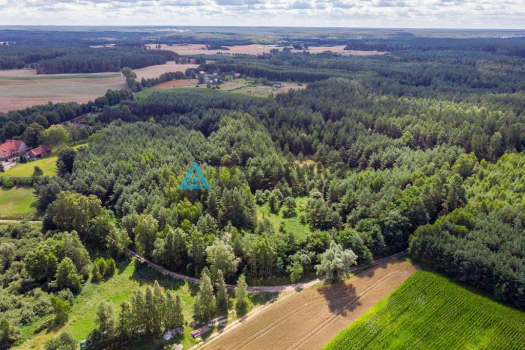 Duża działka rolna w miejscowości Lipy! - zdjęcie 2
