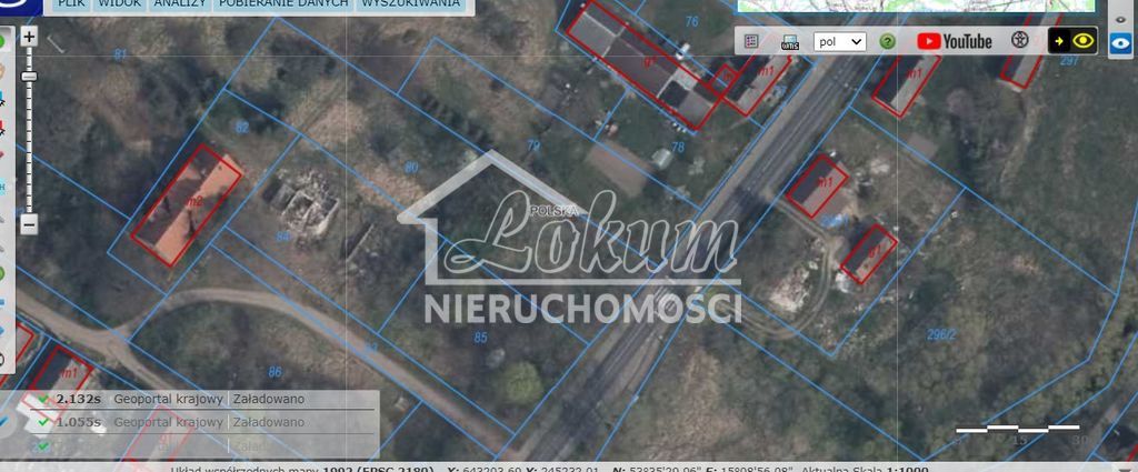 Działka budowlana 3000&nbsp;m², Korytowo - zdjęcie 1
