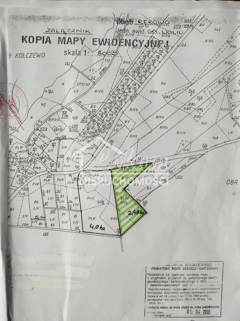 Działka rolna 2,48&nbsp;ha, Rekowo - zdjęcie 5