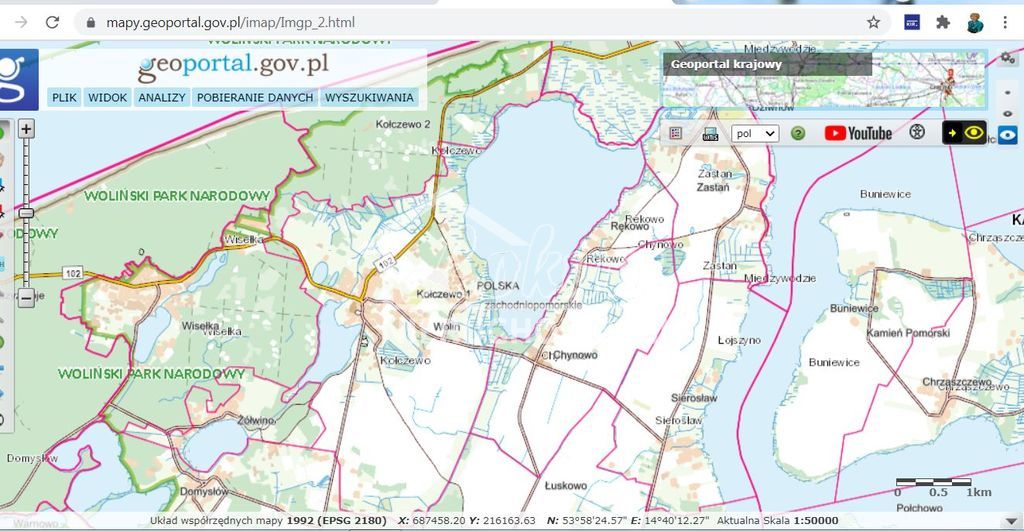 Działka rolna 2,48&nbsp;ha, Rekowo - zdjęcie 2