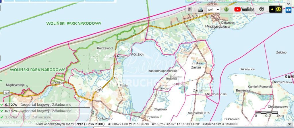 Działka rolna 2,48&nbsp;ha, Rekowo - zdjęcie 1